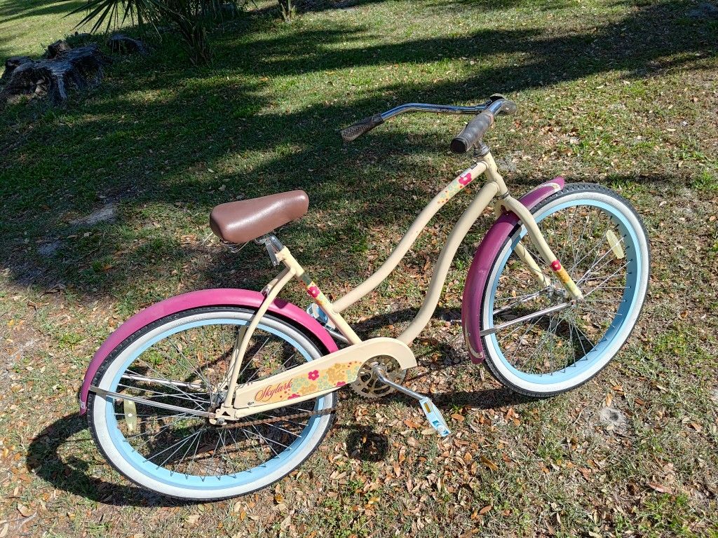 Vintage Schwinn Bicycle 