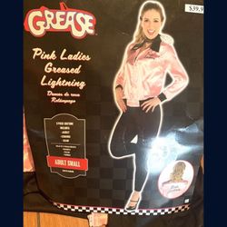 Grease Pink Ladies Costume 