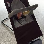 Baby Bjorn Bouncer And Play Bar 