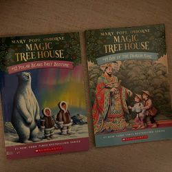Magic Treehouse Books Set Of 2