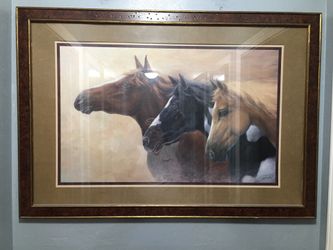 Horse Picture