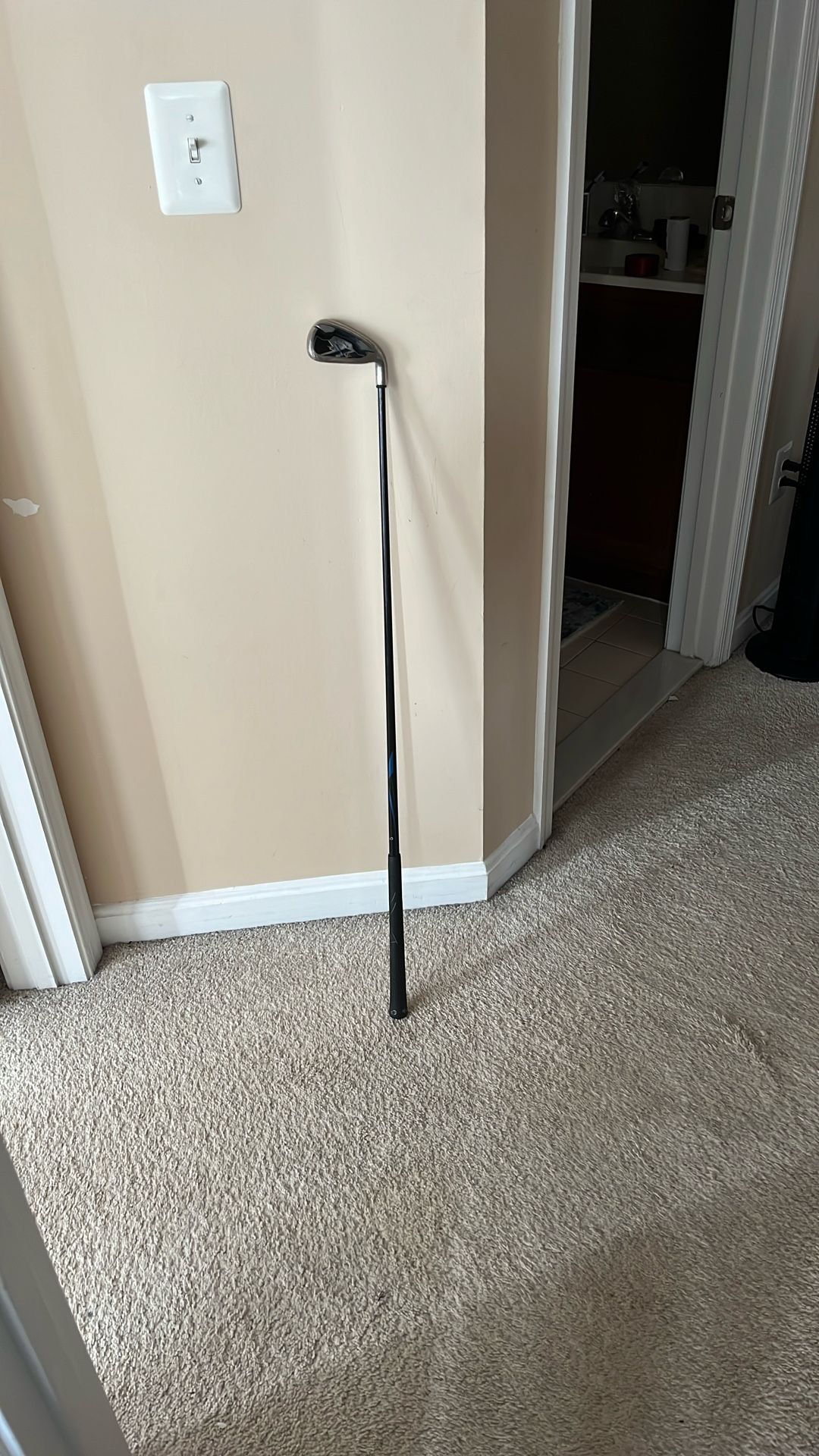 Callaway Golf 20 X Club
