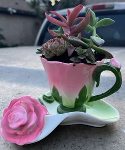 Tea cup And Saucer
