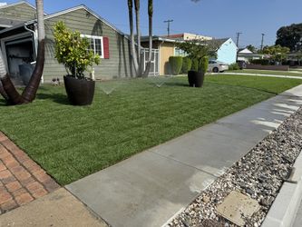 Grass