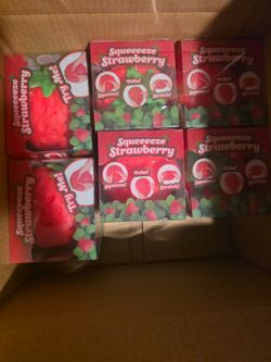 Strawberry Squishy