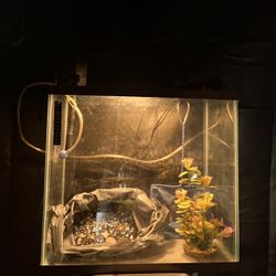 20 Gallon Tall Fish Tank Kit  