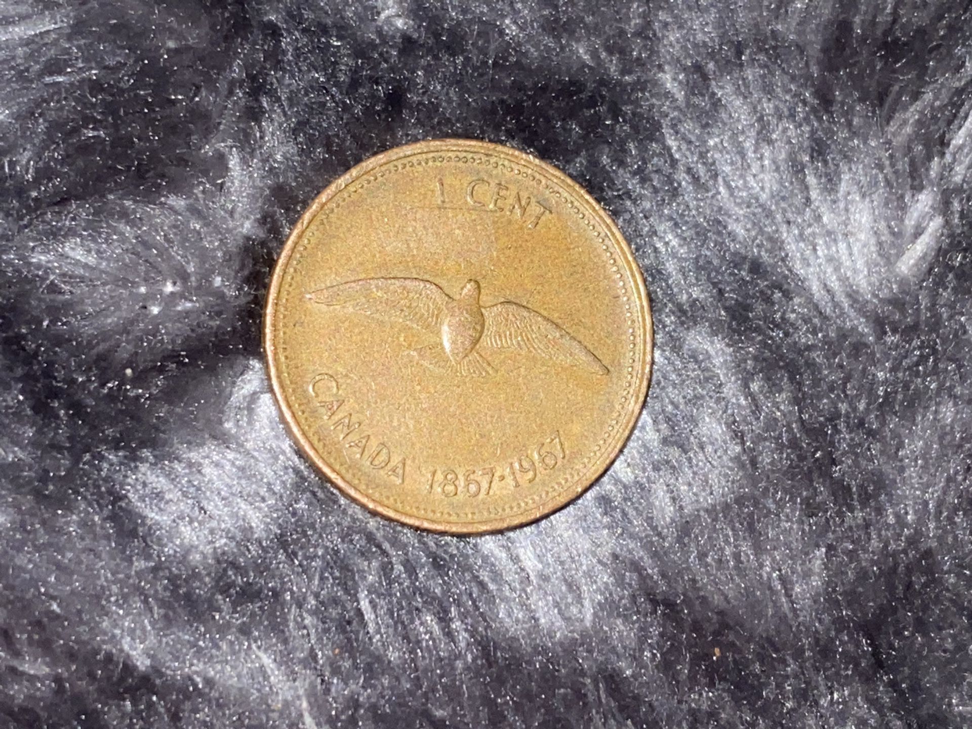 Dove Canadian Penny Coin 