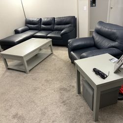 Navy Blue Couches 
