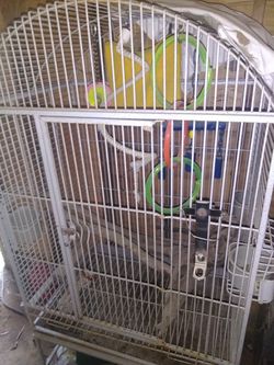 Large bird cage for big birds