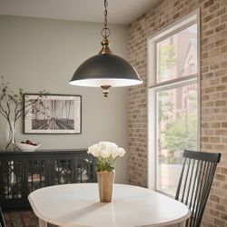 Brand New Pendant Light