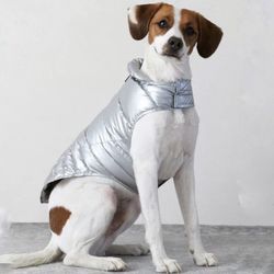 Lot (2) American Beagle Outfitters AE Dog Puppy