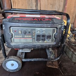 Predator 