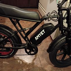 Bike Amyet G60 1000 Watts. Battery 48 Volt 