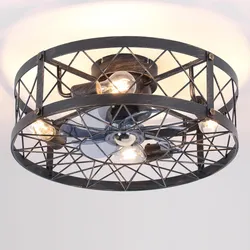REDSTAR 20" Caged Ceiling Fans with Lights and Remote Flush Mount