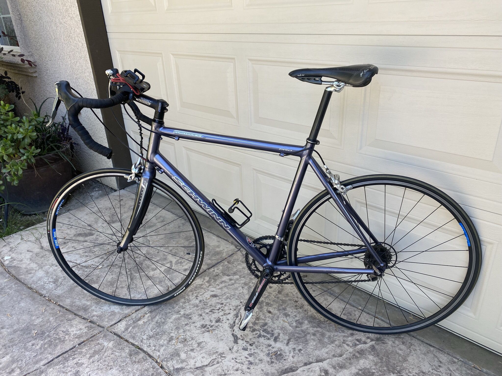 Schwinn Fastback Pro Road Bike
