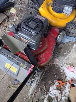 Lawnmower