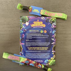Beyond Wonderland VIP - 2 day