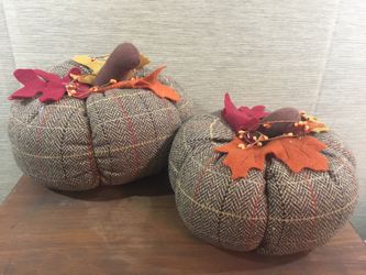 Decorative Pumpkins  Autumn Fall Halloween 