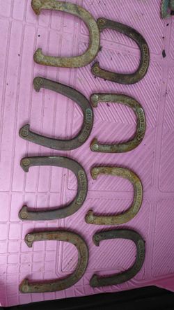 8 ringer horse shoes