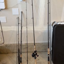 Salmon/Steelhead/Trout rods