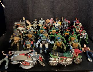 Teenage Mutant Ninja Turtles Collection from early 2000’s TMNT