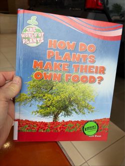 How do Plants Make Their Own Food?
