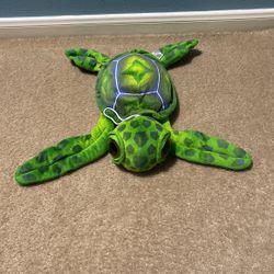 Sea Turtle