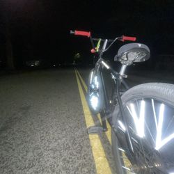 Custom Bike 