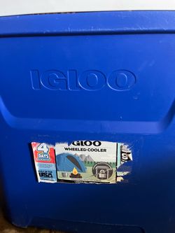 Igloo hard cooler