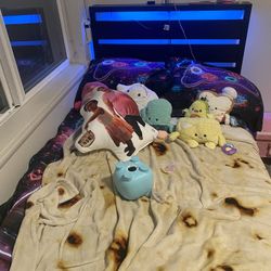 Twin Bed With LED Lights