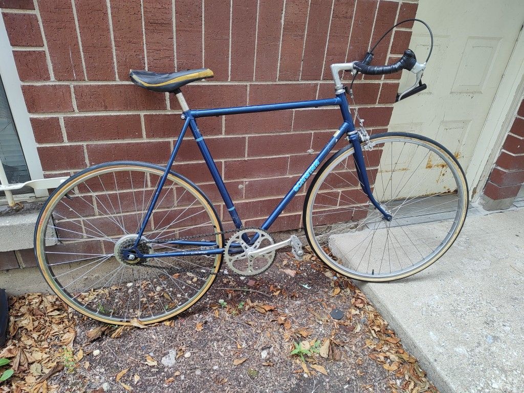 Large Frame Electric Blue Lightweight Schwinn Singlespeed w/ new tires