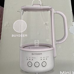 Electric Kettle 