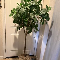 Artificial Plant 