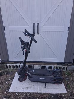 $100 each