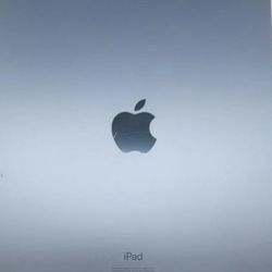 iPad Air WiFi Only  256 GB, Sky Blue 