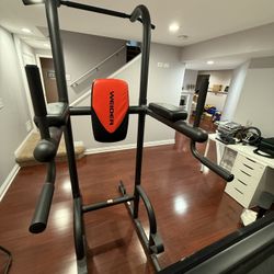 Weider Pull Up/Dip Station 