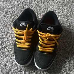 Nike Polaroid SB Size 9