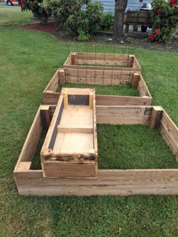 The urban thriver grow beds