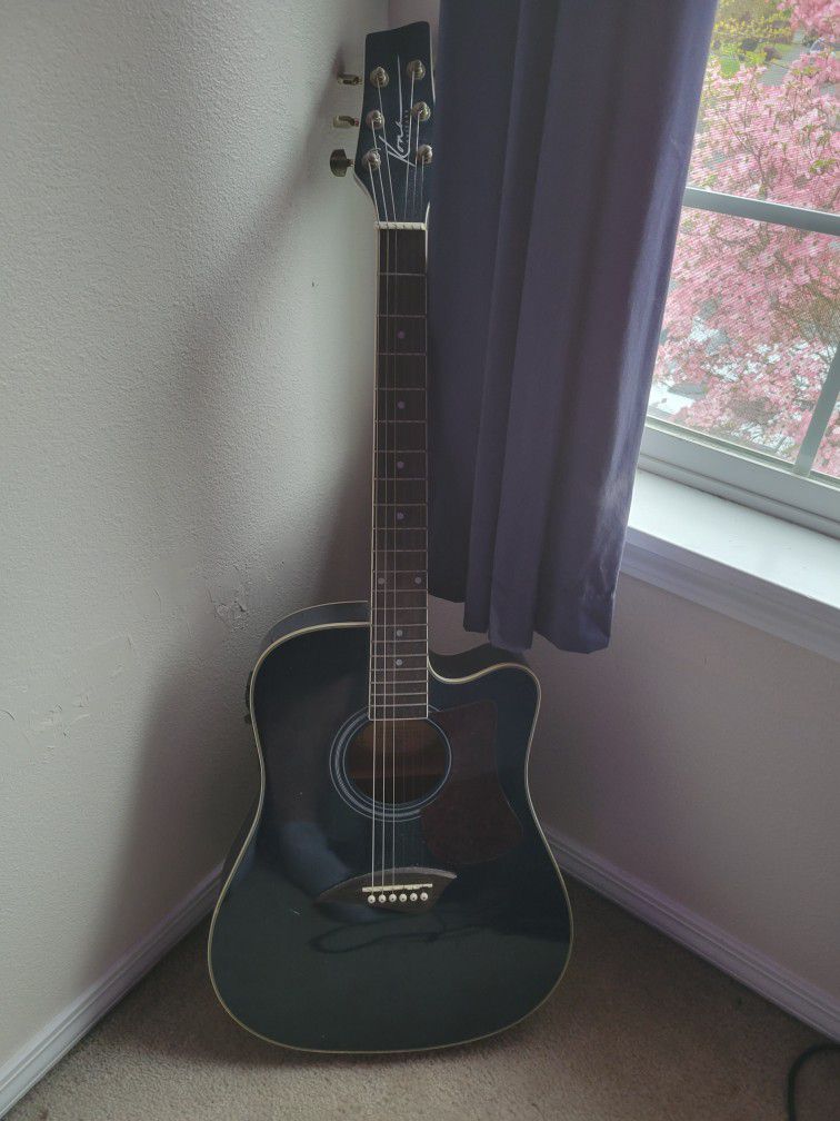 Acoustic Electric Guitar And Amps