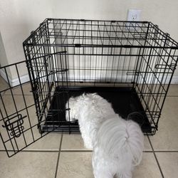 Dog Cage Médium Size