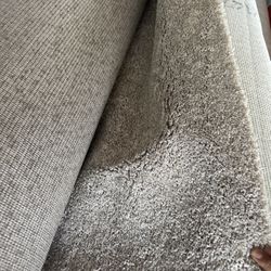 Grey Brown Carpet 