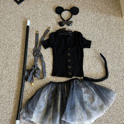Blind Mouse Halloween Costume