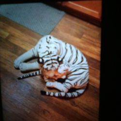 Large White Tiger With A Cub