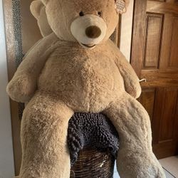 Teddy Bear 
