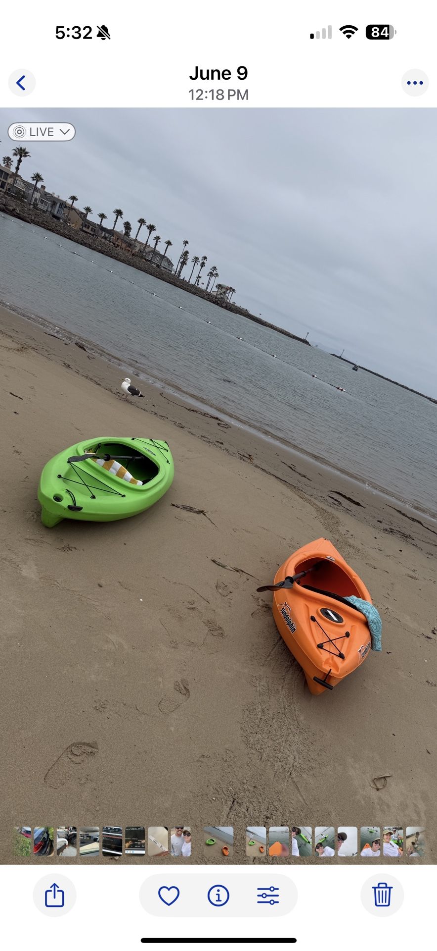 Kayaks 