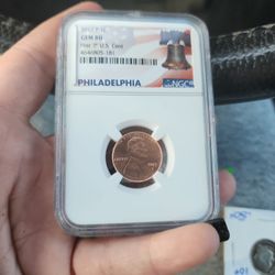 2017 Penny 