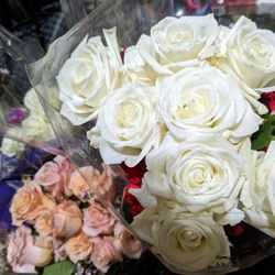 Fresh Rose Bouquets Low Prices
