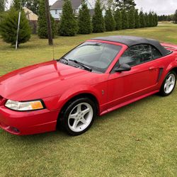 1999  Mustang Cobra