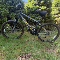 RoadMaster Mountain Bike 