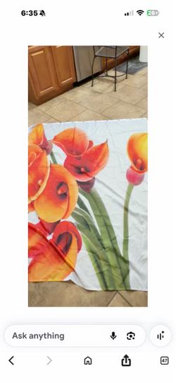 Shower curtain